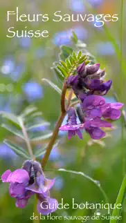 fleurs sauvages suisse finder iPhone Captures Décran 1