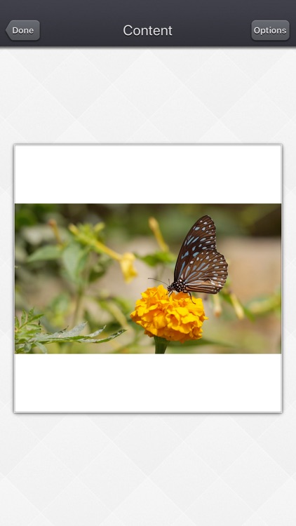 Video Resize & Scale - HD screenshot-3