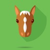 HorseCare: Horse Riding App icon