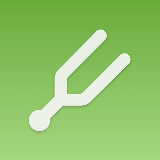 InTune Simple Guitar Tuner iPhone App