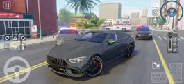 Game screenshot Car Driving Simulator 2024 mod apk