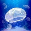 Jellyfish Aquarium - Pet Game icon