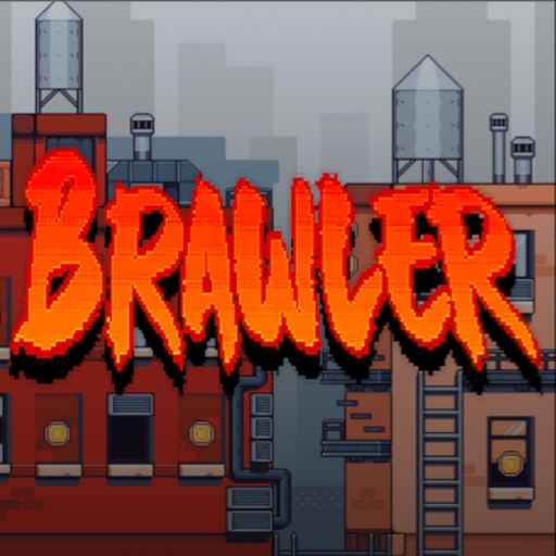 NY Brawler