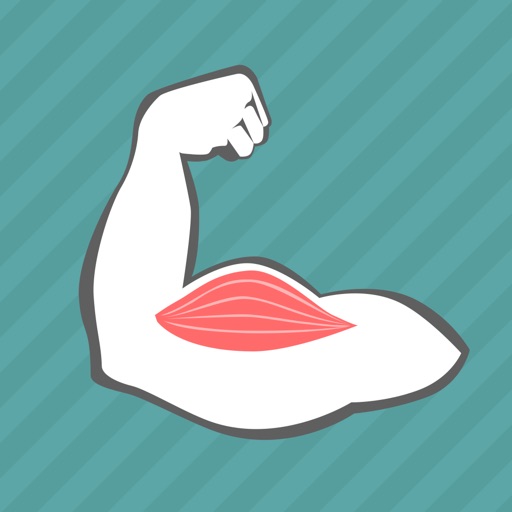 Enjoy Learning Muscles Puzzle icon