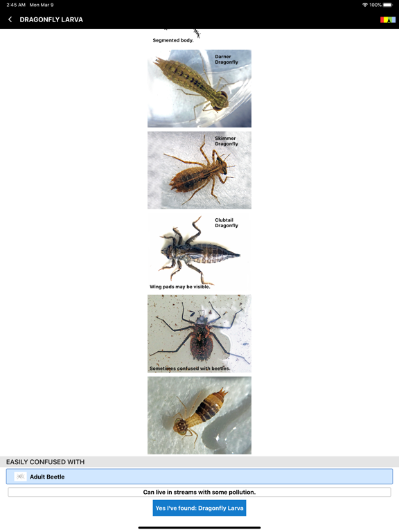 Creek Critters iPad screenshot 7 - Education app