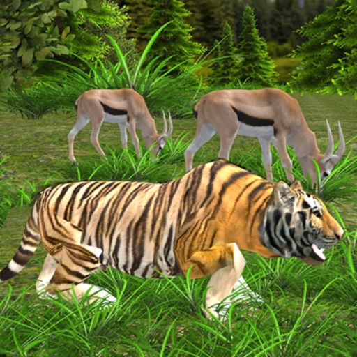 Wild Tiger Simulator