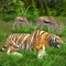 Tiger Simulator called wild simulator is an incredible simulation game to hunt wild animals in the jungle