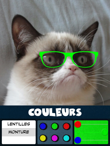 Screenshot #6 pour Autocollants de lunettes