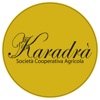 KARADRA icon