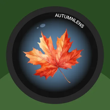 Autumn Lens Читы
