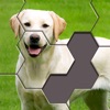 Hexa Jigsaw Puzzle ® icon