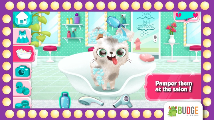 Miss Hollywood – Fashion Pets