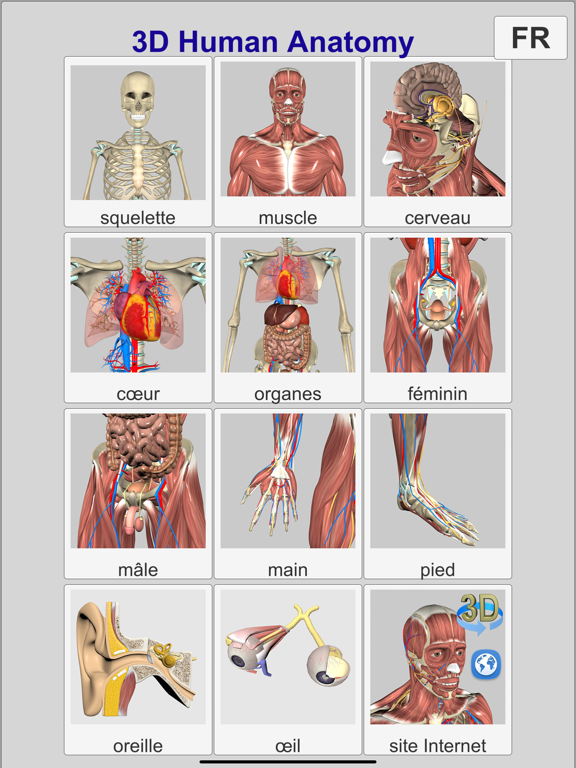 Screenshot #4 pour 3D Anatomy