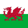 Welsh-English Dictionary - FB PUBLISHING LLC