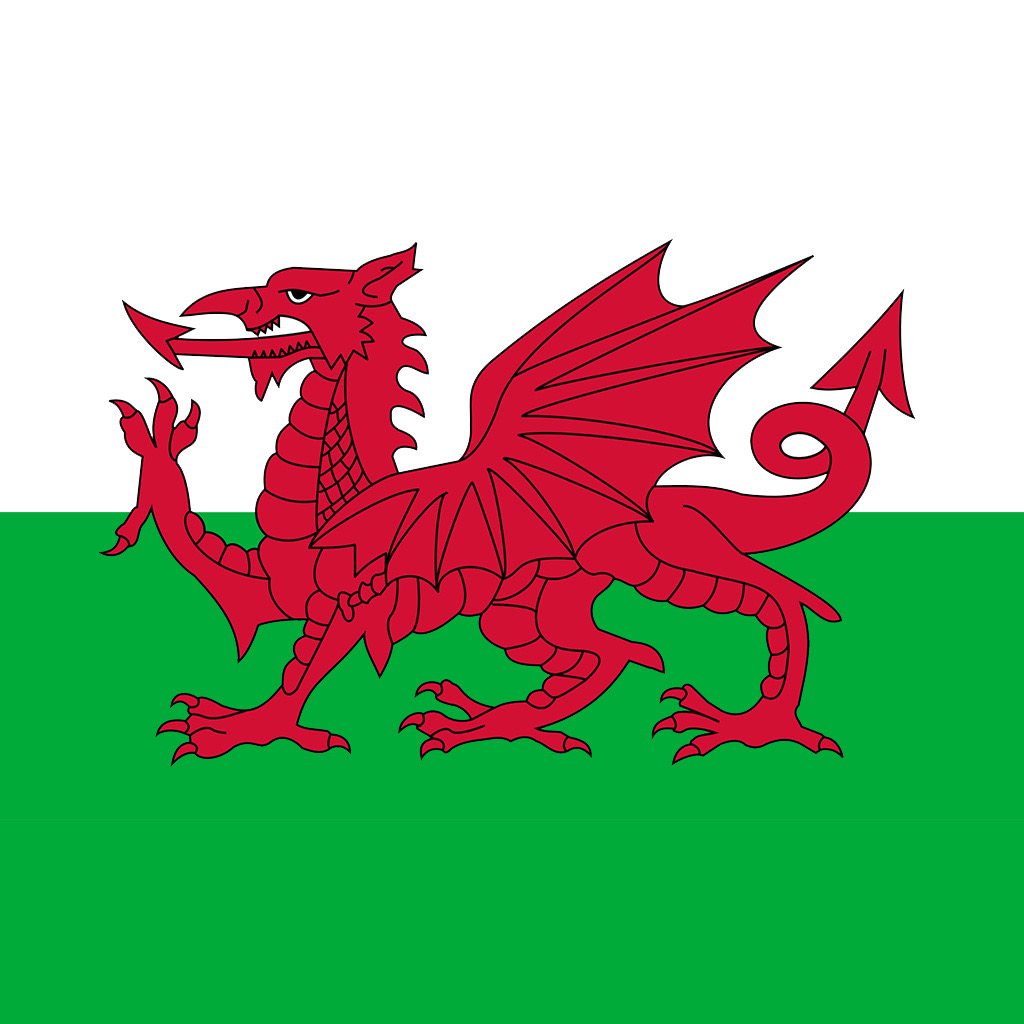 Get Welsh-English Dictionary for iOS, iPhone, iPad Aso Report