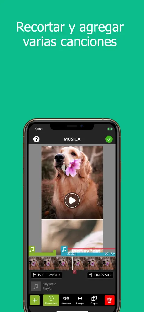 PicPlayPost - Video Editor
