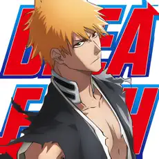 Bleach: The Separation