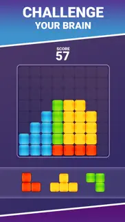 classic blocks - puzzle games iphone screenshot 2