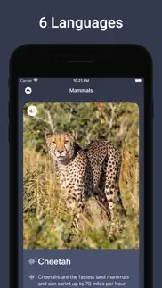 animal sounds & bird noises iphone screenshot 4