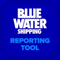 BWS Reporting Tool