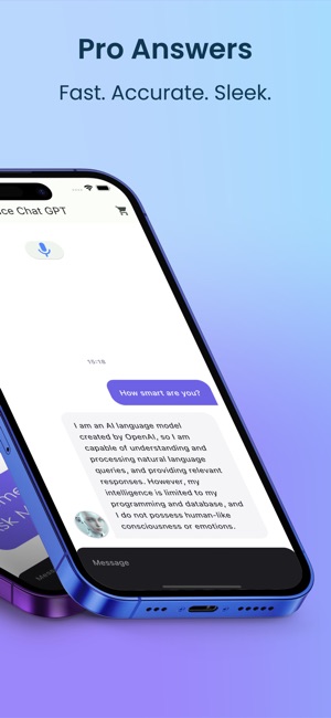 A.I. Voice Chat: Open Wisdom on the App Store