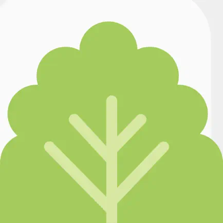 Mochi - Flashcards and notes Cheats