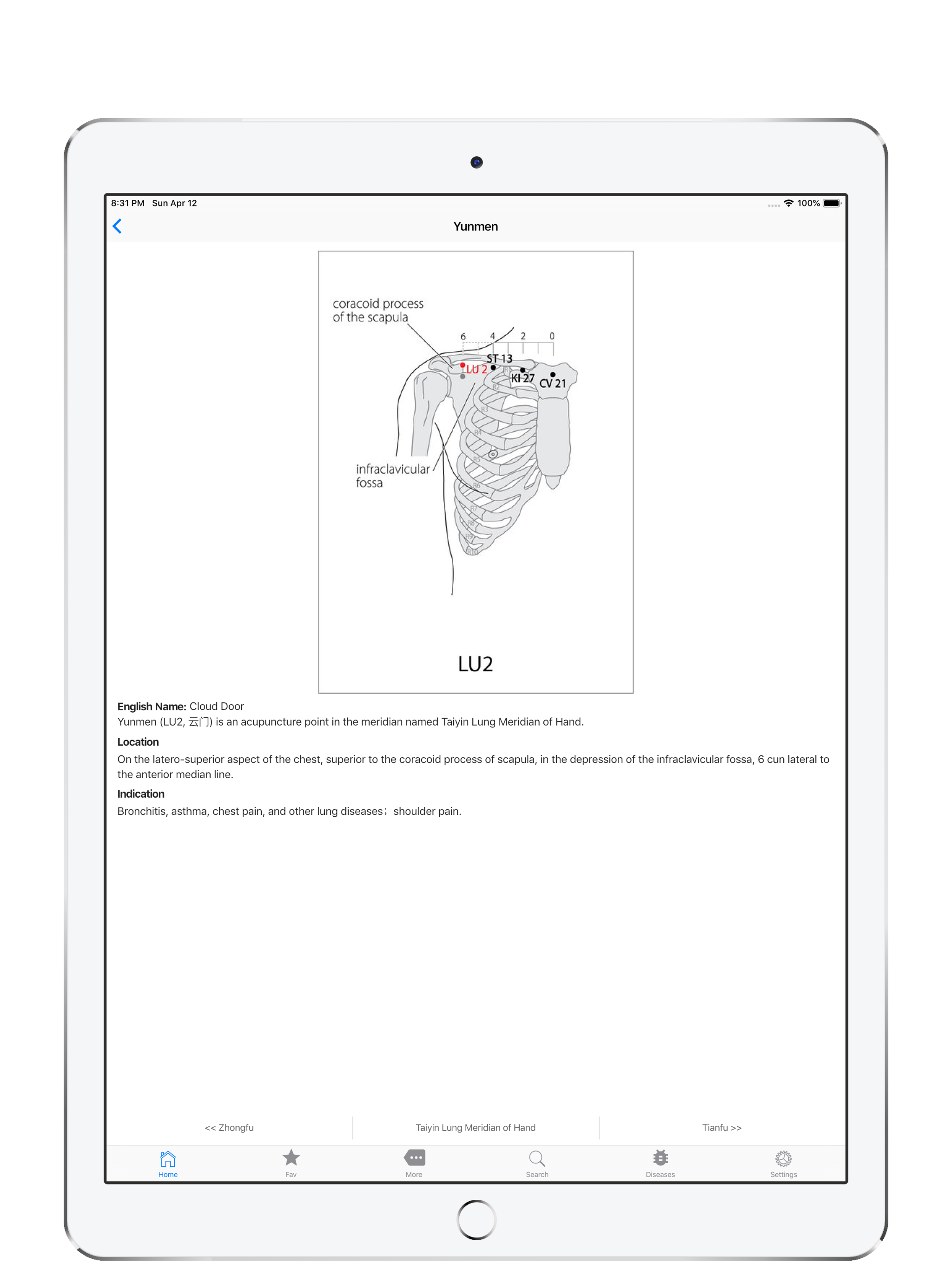Acupuncture Points, cool index screenshot 8