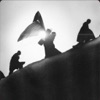 Kalkul36 icon