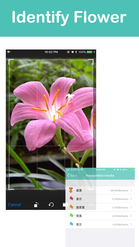 #4. QS Scanner & Photo Translator (iOS) By: 小玲 白