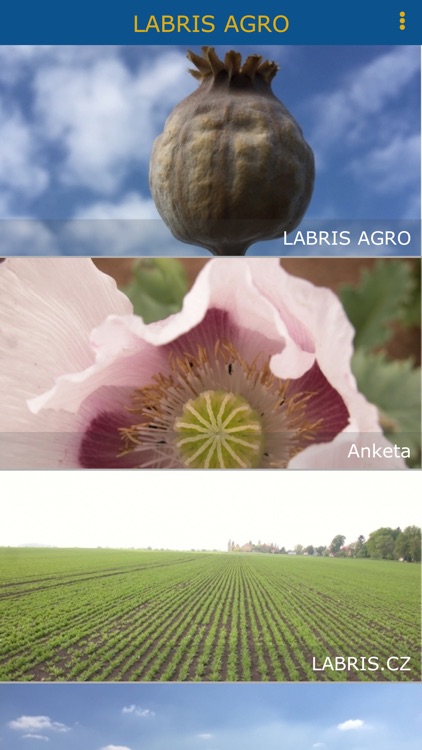 LABRIS AGRO