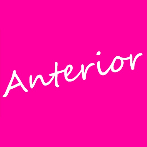 Anterior鍼灸整骨院