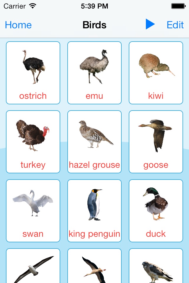 Birds Learning Cards screenshot 2