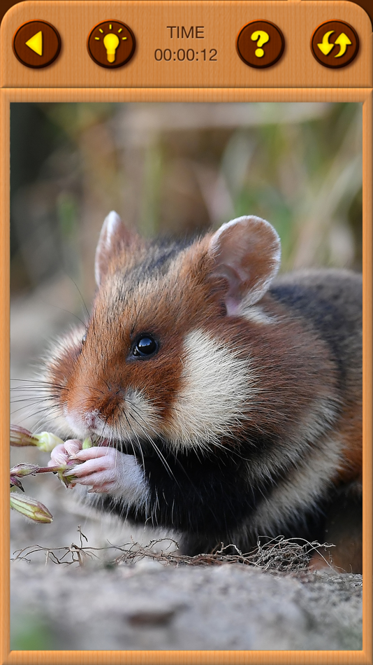 #7. Hamster Jigsaw Puzzle Games (iOS) โดย: Irina Schens