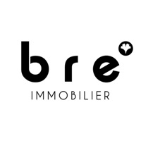 BRE Immobilier  logo