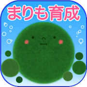 Marimo - Together everywhere