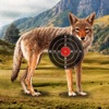 Coyote Target Shooting icon