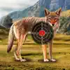 Coyote Target Shooting contact information