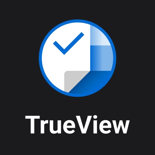 Deloitte TrueView