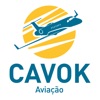 EFB Cavok icon
