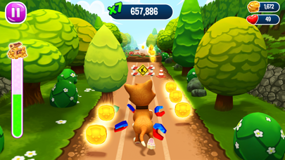 Pet Run - Puppy Dog Run Game Screenshot