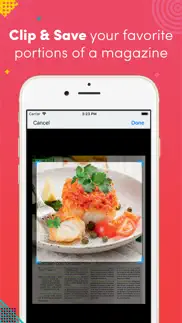 love cocina revista iphone capturas de pantalla 2