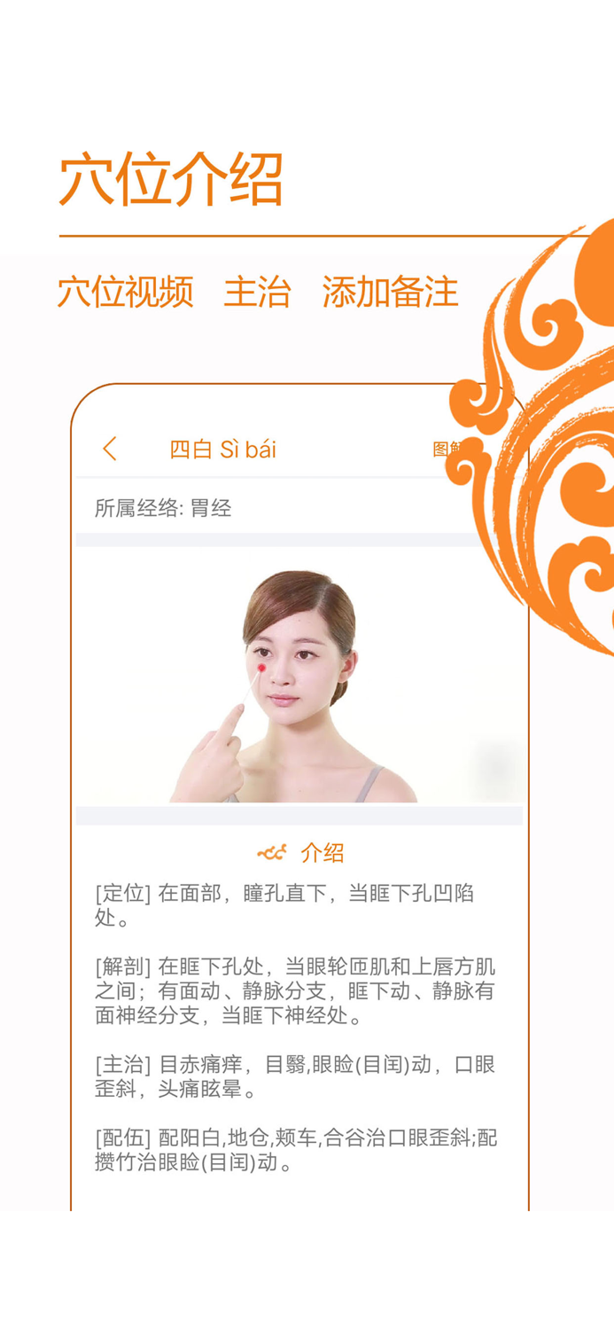 经络养生-人体穴位大全