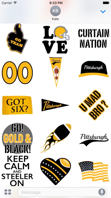 Pittsburgh Football Experience