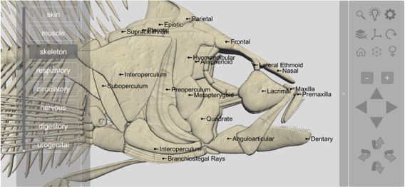 3D Fish Anatomyのおすすめ画像3