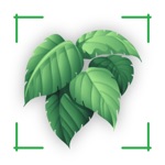 Plantinapp  Plant Identifier