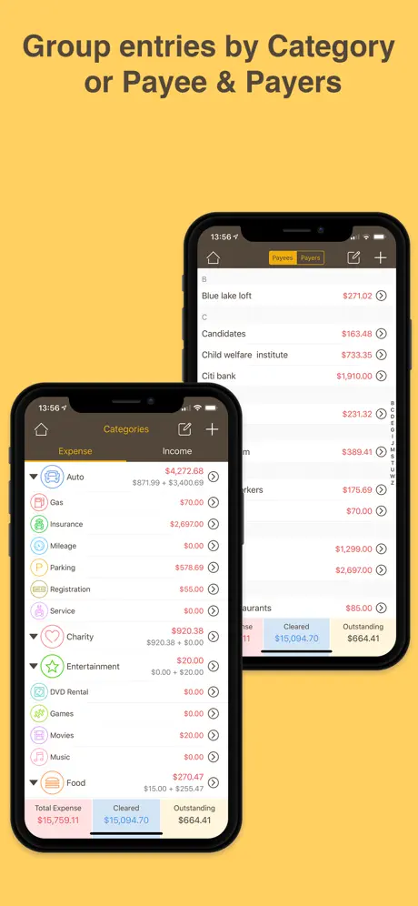 Money Monitor Pro