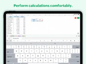 Zoho Sheet—Spreadsheet on iPad screenshot 4