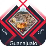 Guanajuato City Guide App Positive Reviews
