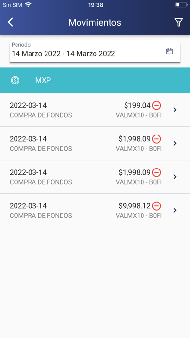 Valmex Móvil Screenshot