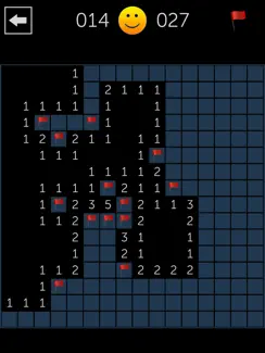 Minesweeper Fun iPad image 1